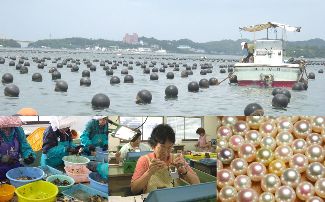 上天草産 あこや 真珠 ネックレス （7.0ｍｍ珠）