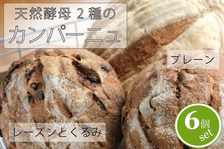 長野県産のゆめかおりを使用したカンパーニュです。
