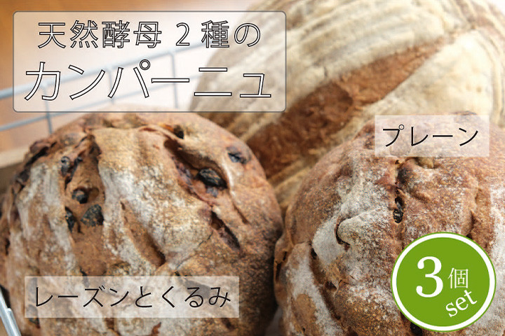 長野県産のゆめかおりを使用したカンパーニュです。