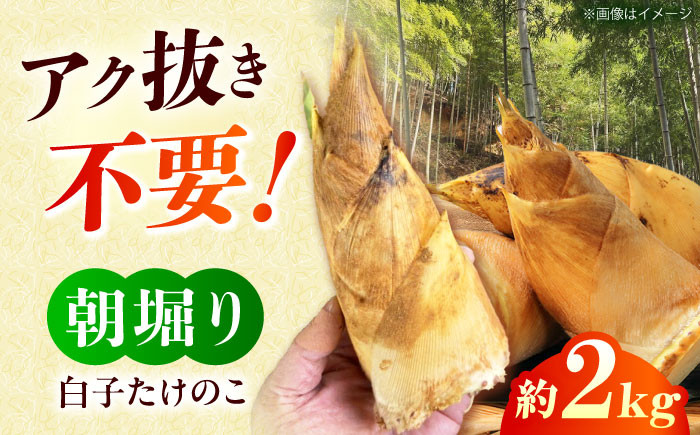 野菜 贈答 ギフト 産地直送 取り寄せ 送料無料 大阪