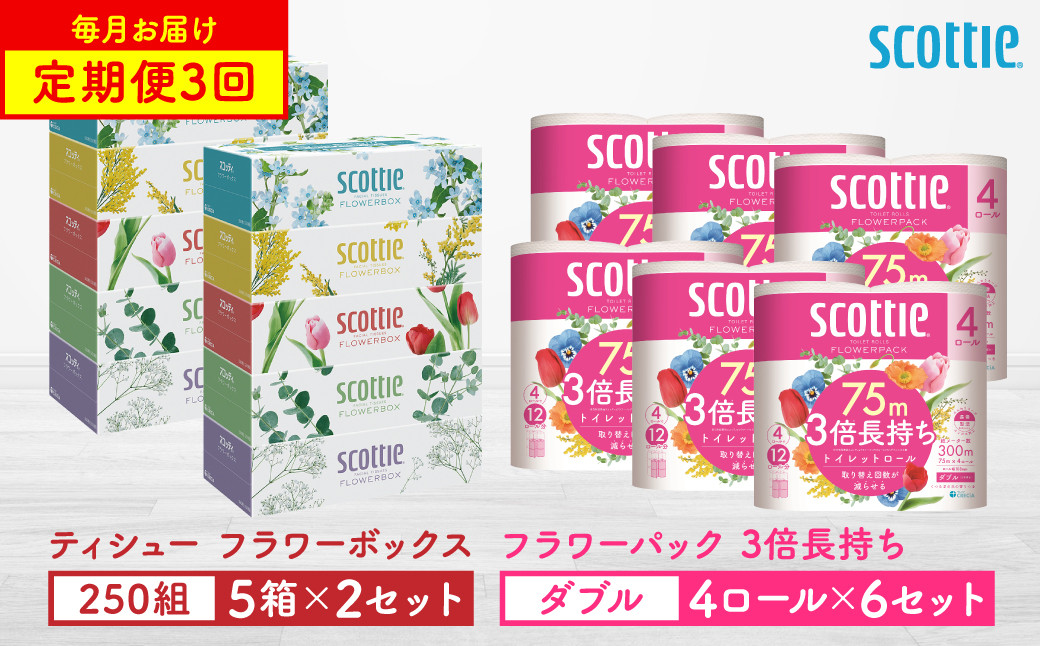 【定期便3回】【毎月1回お届け】【スコッティ】ティシュー フラワーボックス＋フラワーパック 3倍長持ち（ダブル）