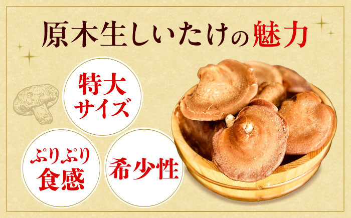 野菜 贈答 ギフト 産地直送 取り寄せ 送料無料 大阪