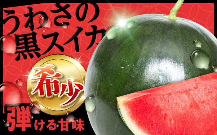 すいか スイカ 西瓜 尺玉スイカ 黒スイカ 果物 フールツ ブラックジャック