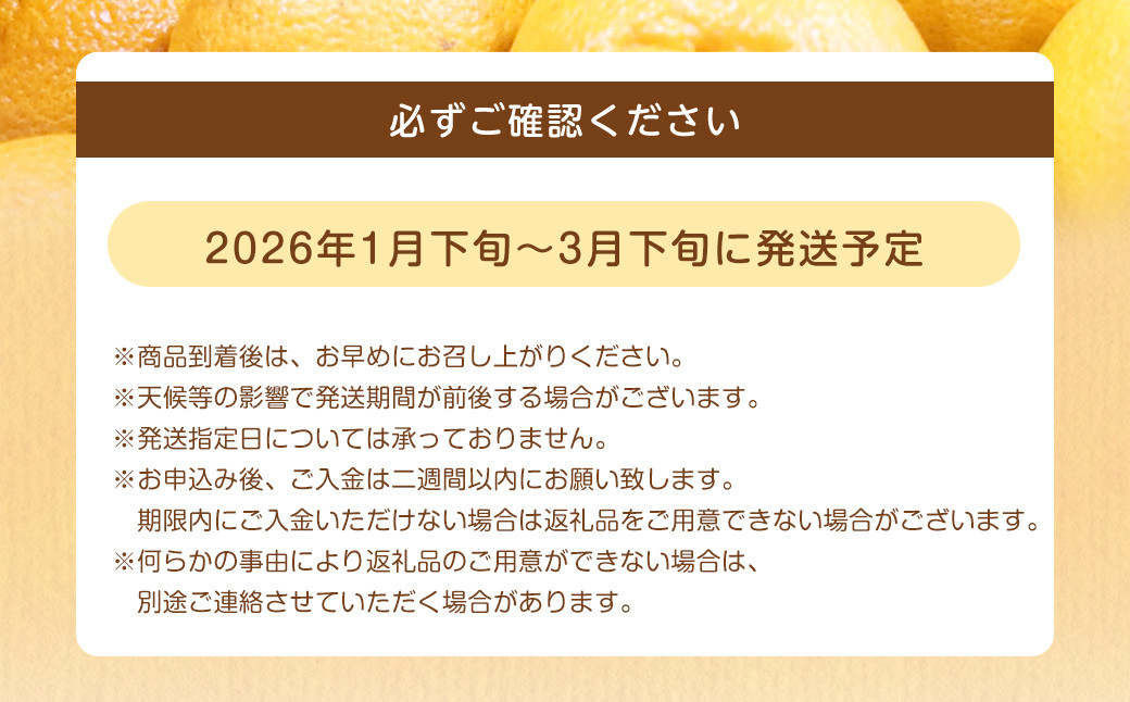 【規格外品】不知火 (デコポンと同品種) ご家庭用 10kg サイズ不選別