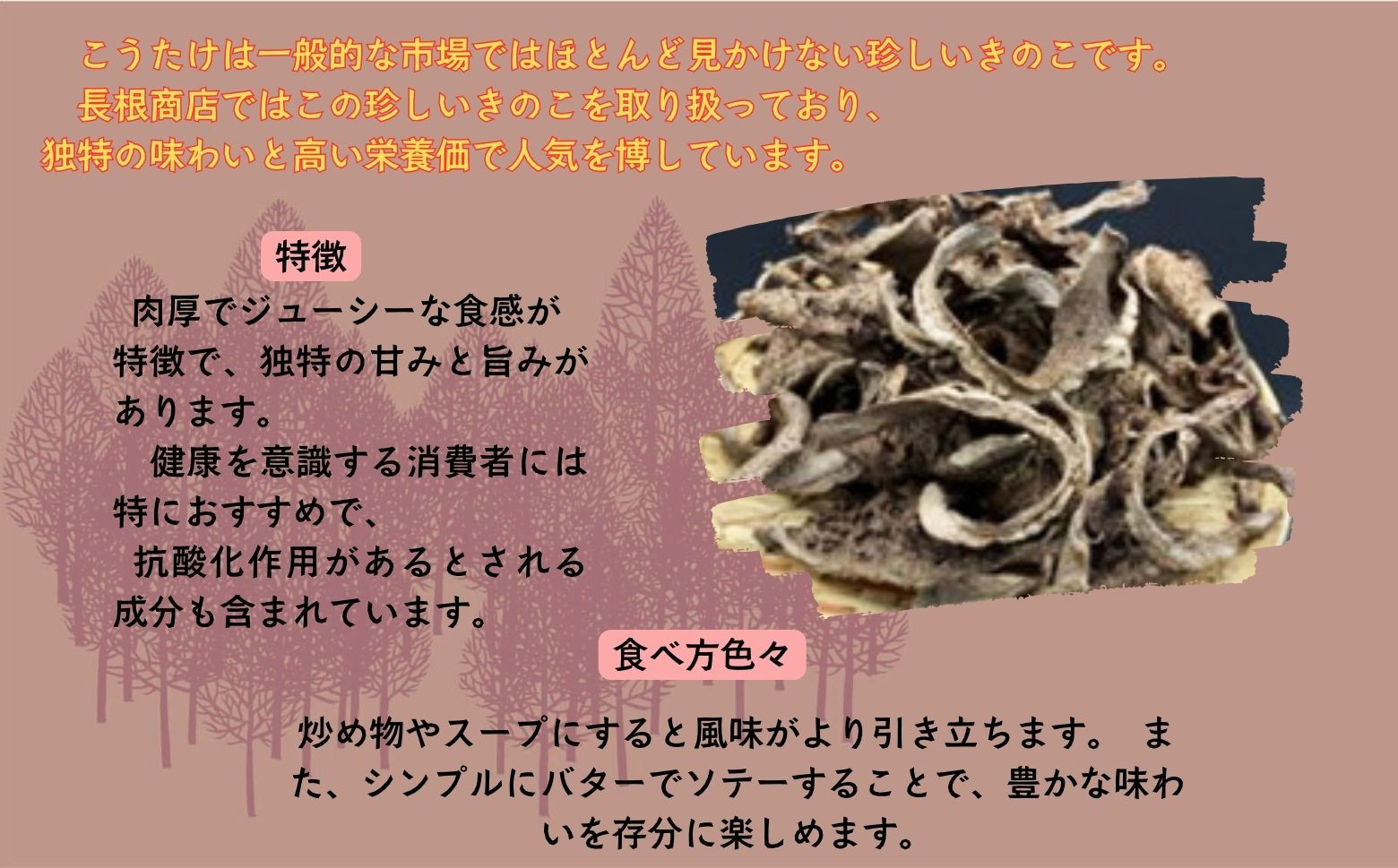 珍しいきのこ。香茸！