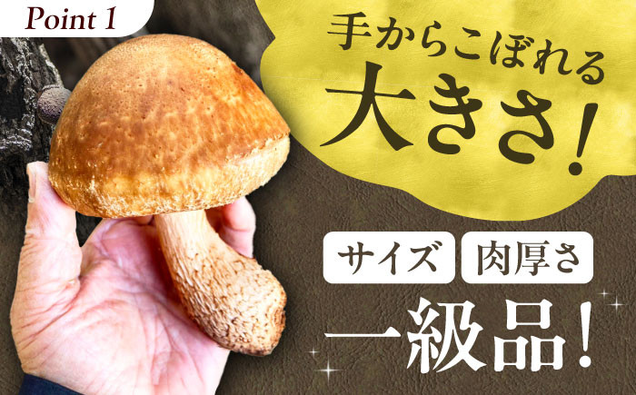 野菜 贈答 ギフト 産地直送 取り寄せ 送料無料 大阪