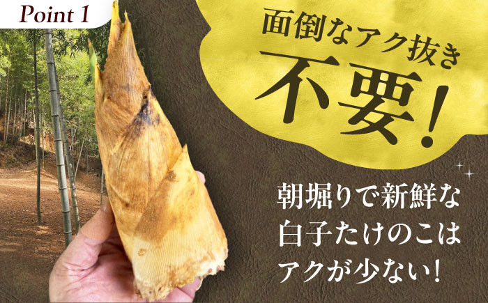 野菜 贈答 ギフト 産地直送 取り寄せ 送料無料 大阪