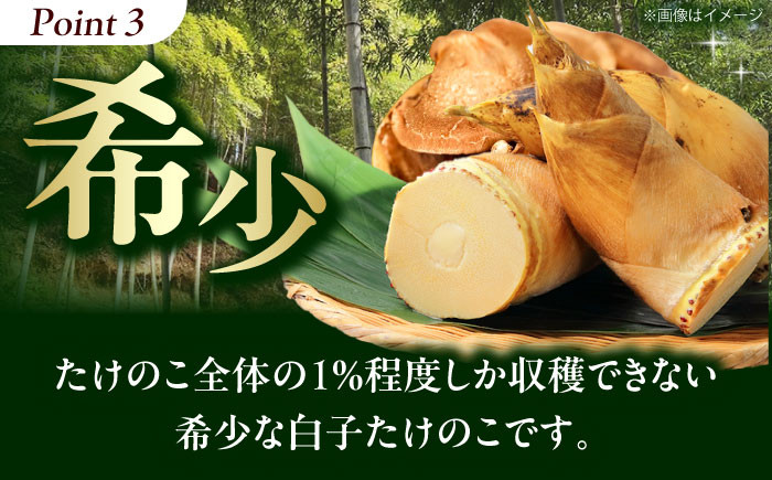 野菜 贈答 ギフト 産地直送 取り寄せ 送料無料 大阪
