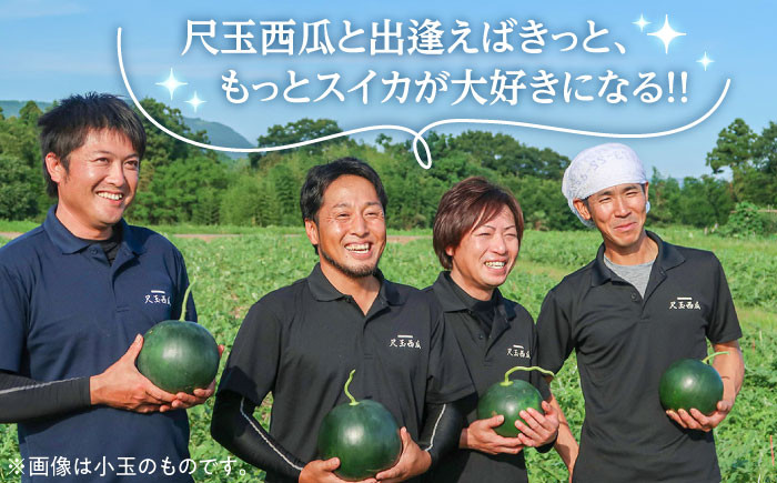 すいか スイカ 西瓜 尺玉スイカ 黒スイカ 果物 フールツ ブラックジャック