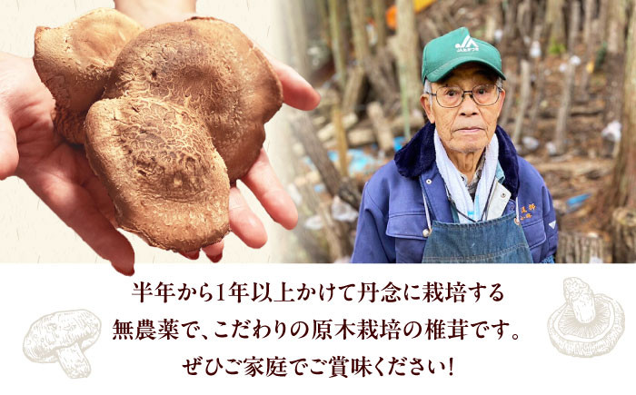 野菜 贈答 ギフト 産地直送 取り寄せ 送料無料 大阪