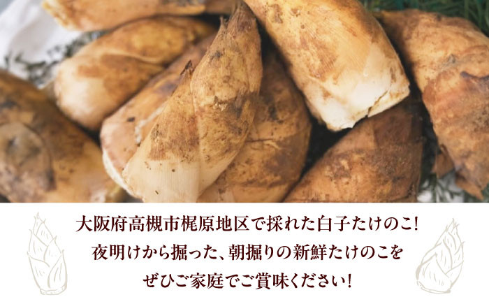 野菜 贈答 ギフト 産地直送 取り寄せ 送料無料 大阪