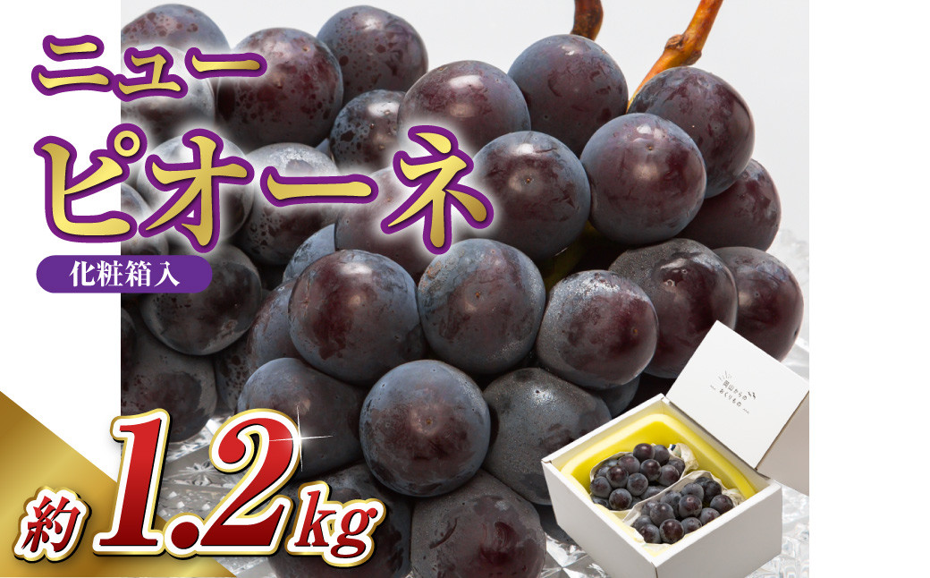 岡山県産 ニューピオーネ 2房（1房600g以上）