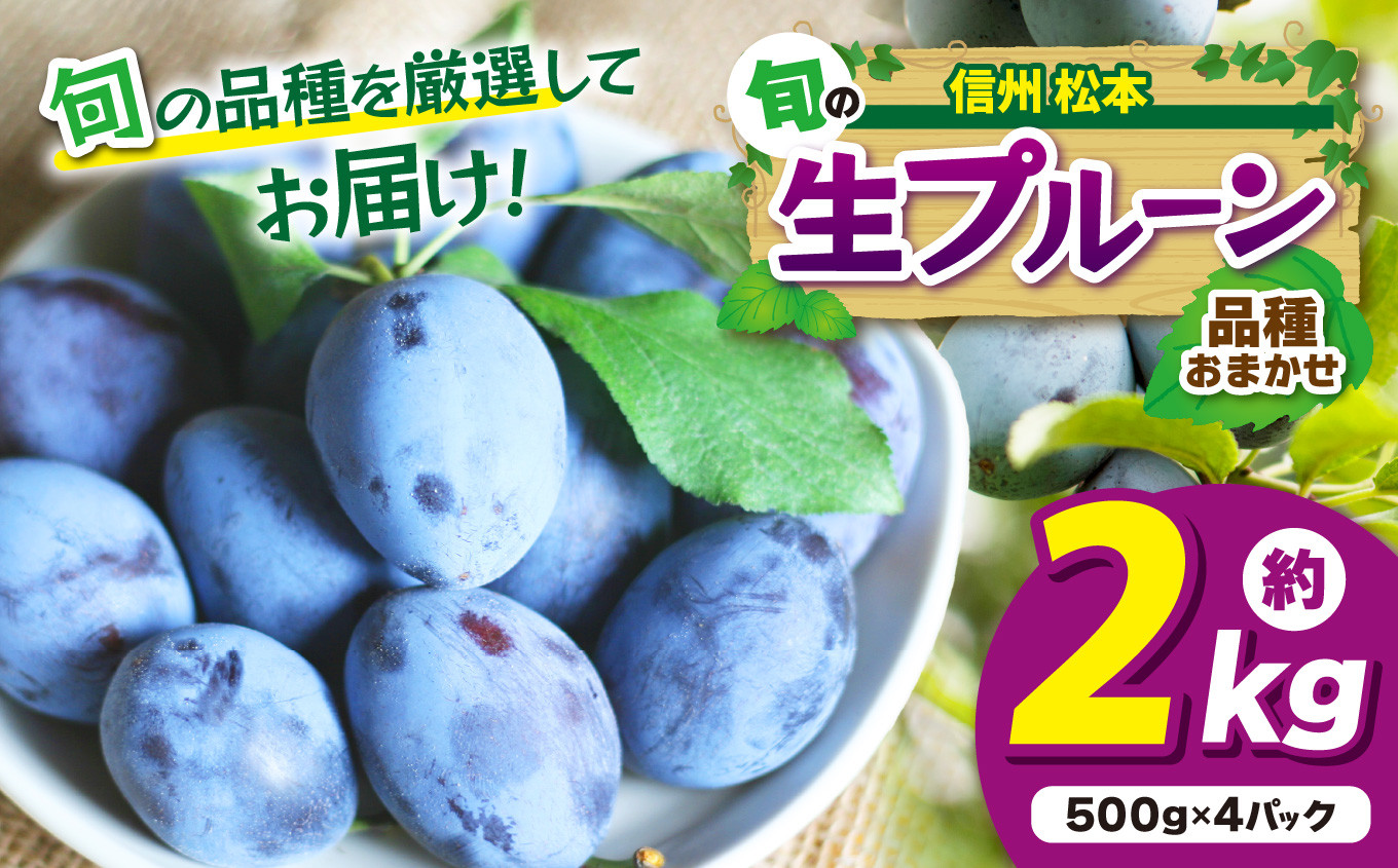 信州松本から旬の生プルーンをお届けします。