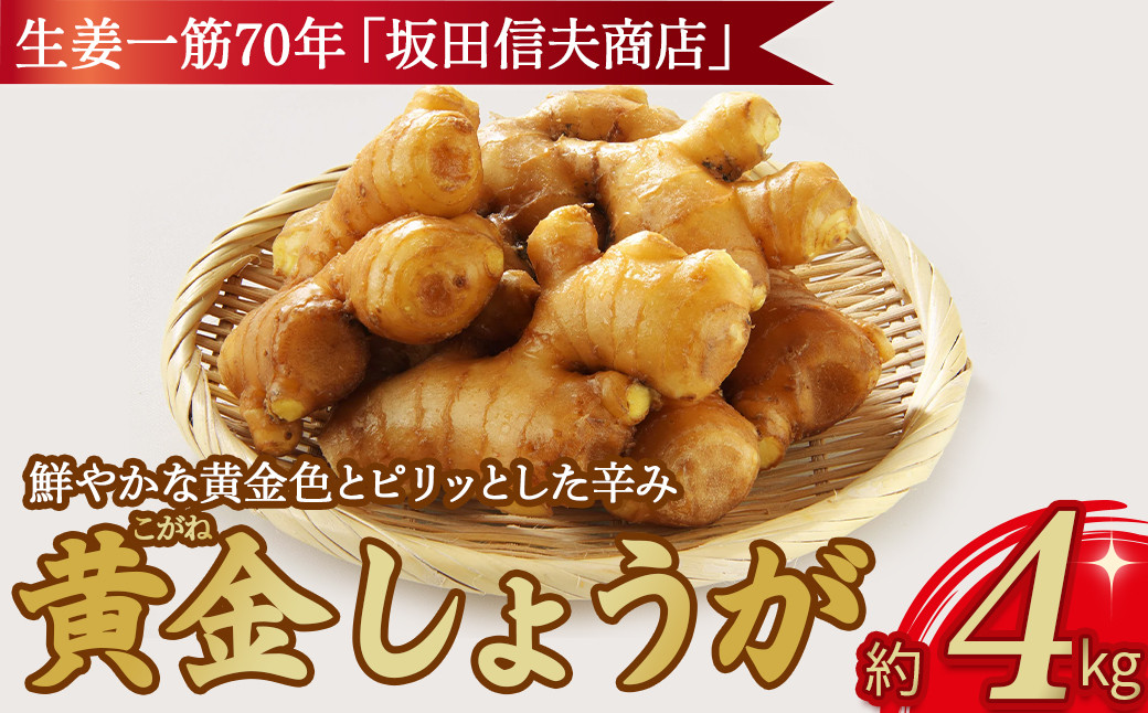 生姜は時間が経過すると色の変化が起きますが、黄金生姜は時間が経過しても鮮やかな黄金色を保ちます。