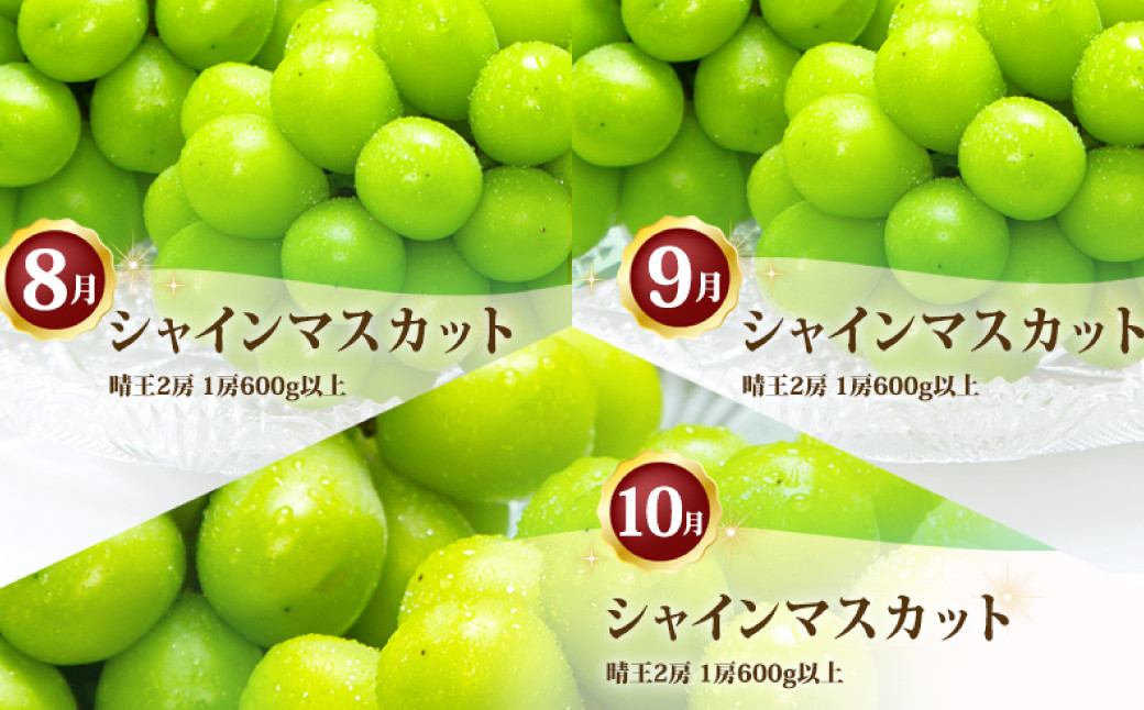 岡山県産 シャインマスカット晴王3回定期便