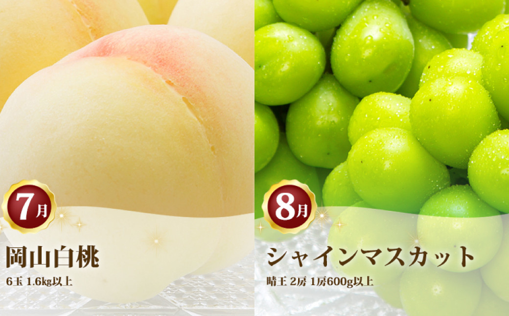 ［2025年先行予約］ 岡山県産 果物定期便 2回コース