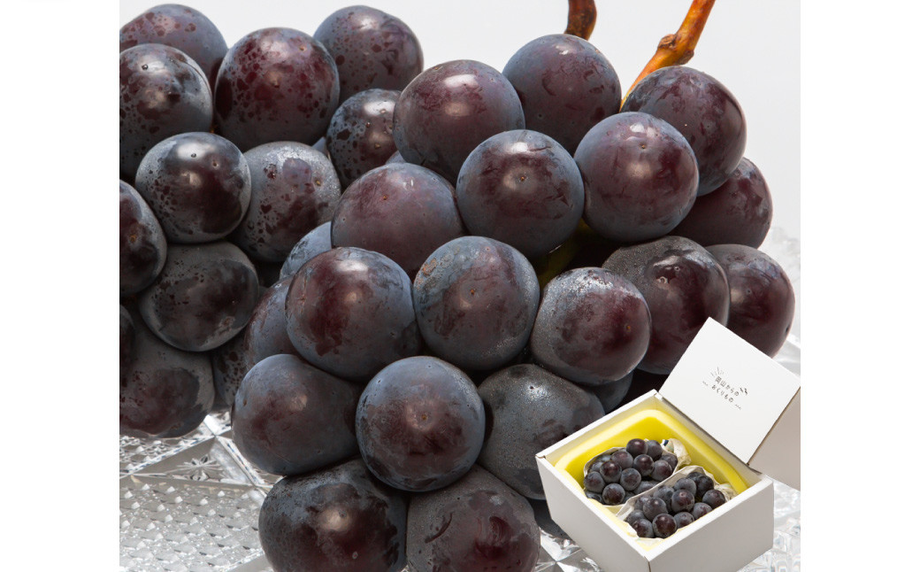 岡山県産 ニューピオーネ 2房（1房600g以上）