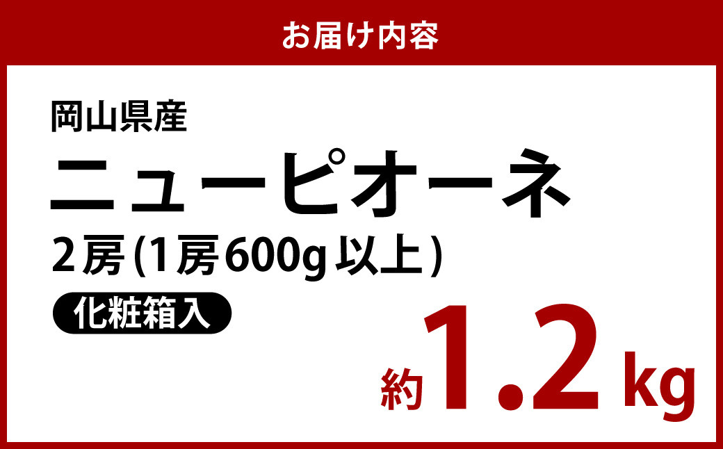 岡山県産 ニューピオーネ 2房（1房600g以上）