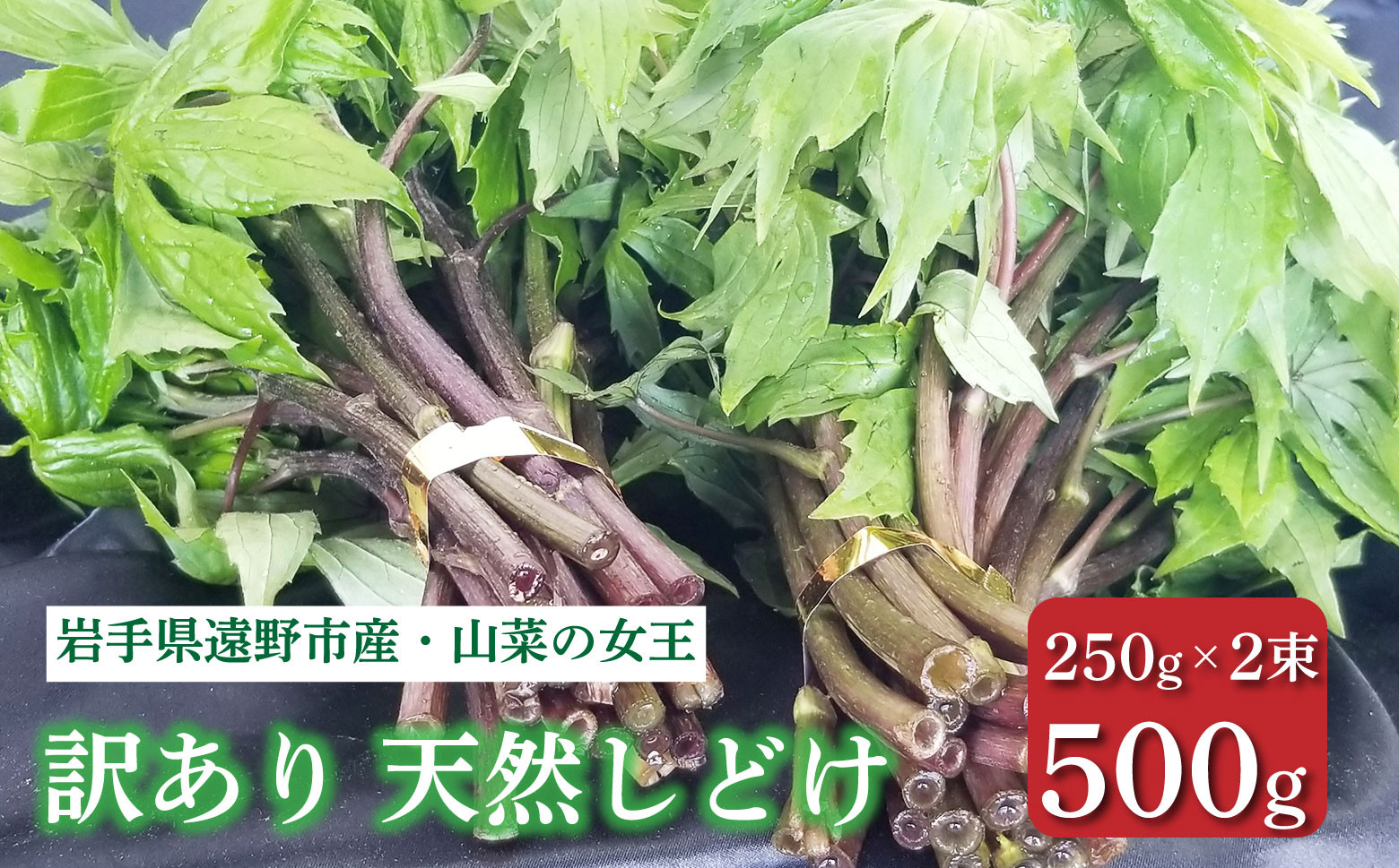 遠野産天然しどけ500g【訳アリ・不揃い品】