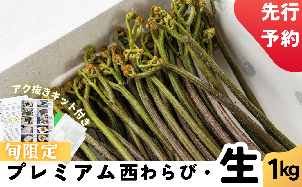 旬の最上級「西わらび」を生のままお届け！おうちで簡単にアク抜きできる秘伝レシピ付き