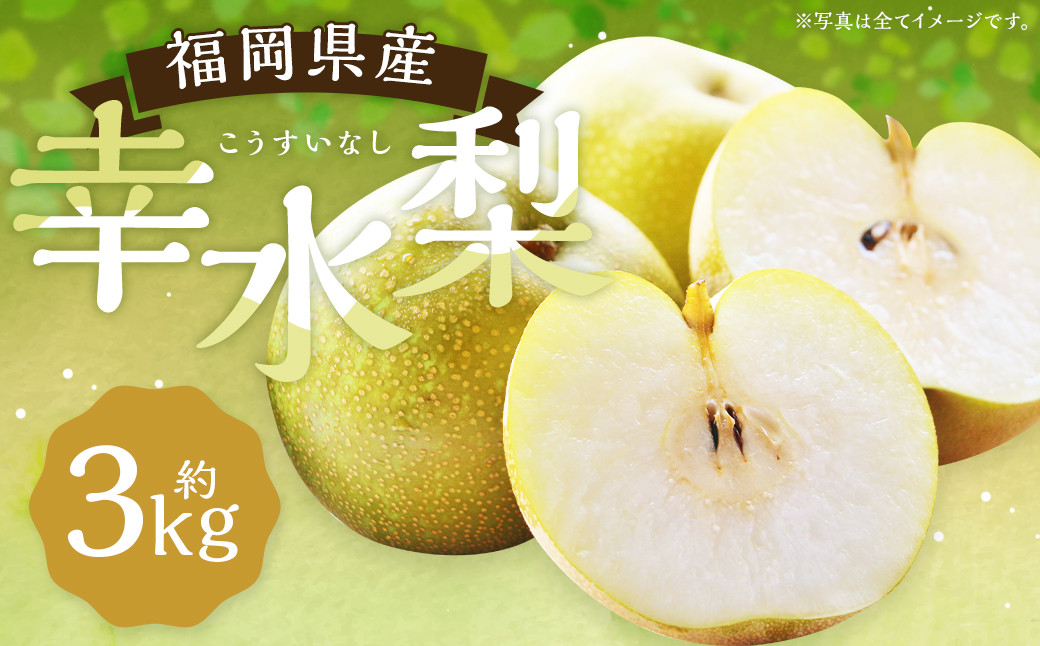 幸水梨 約3kg 5～8玉