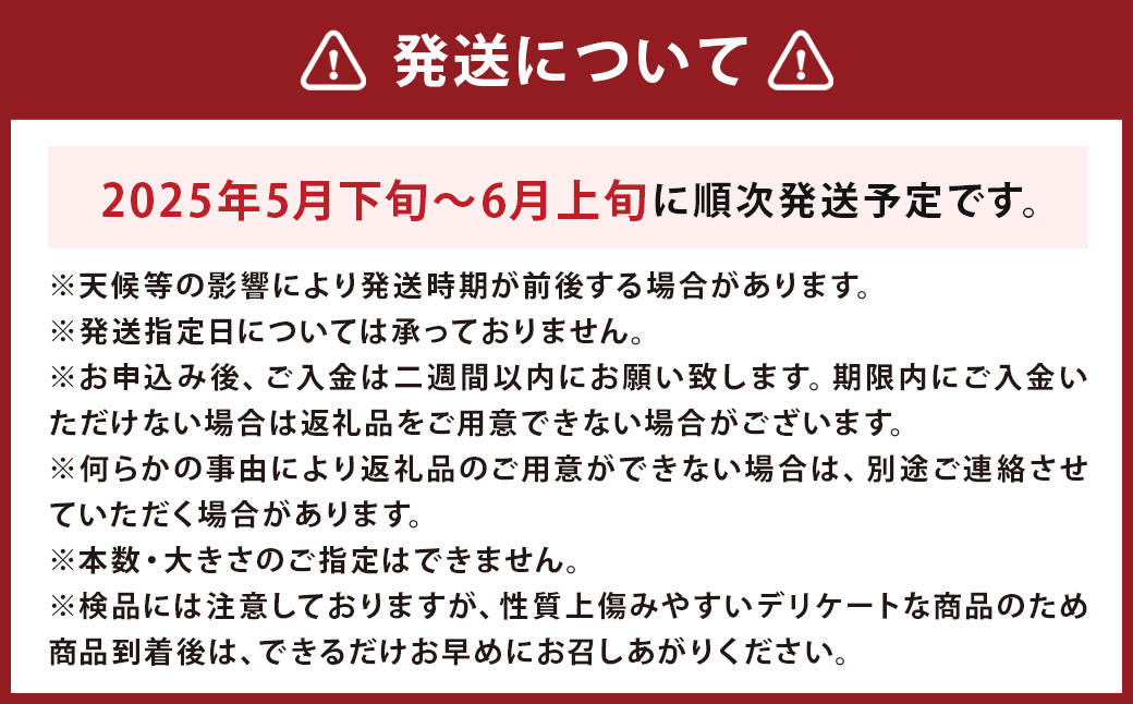 グリーンアスパラ 露地栽培 2L（約1kg相当）【2025年5月下旬～6月上旬発送予定】