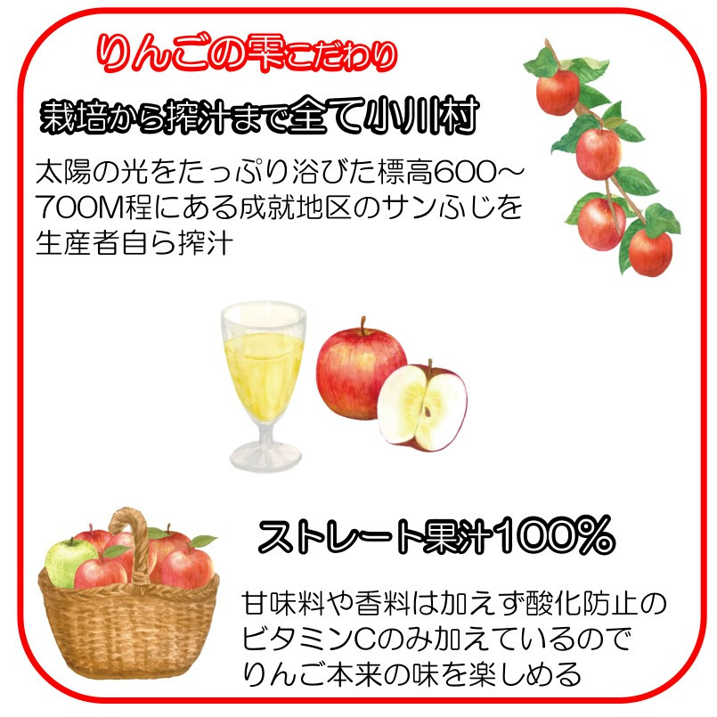 サンふじりんご100%ジュース1L2本