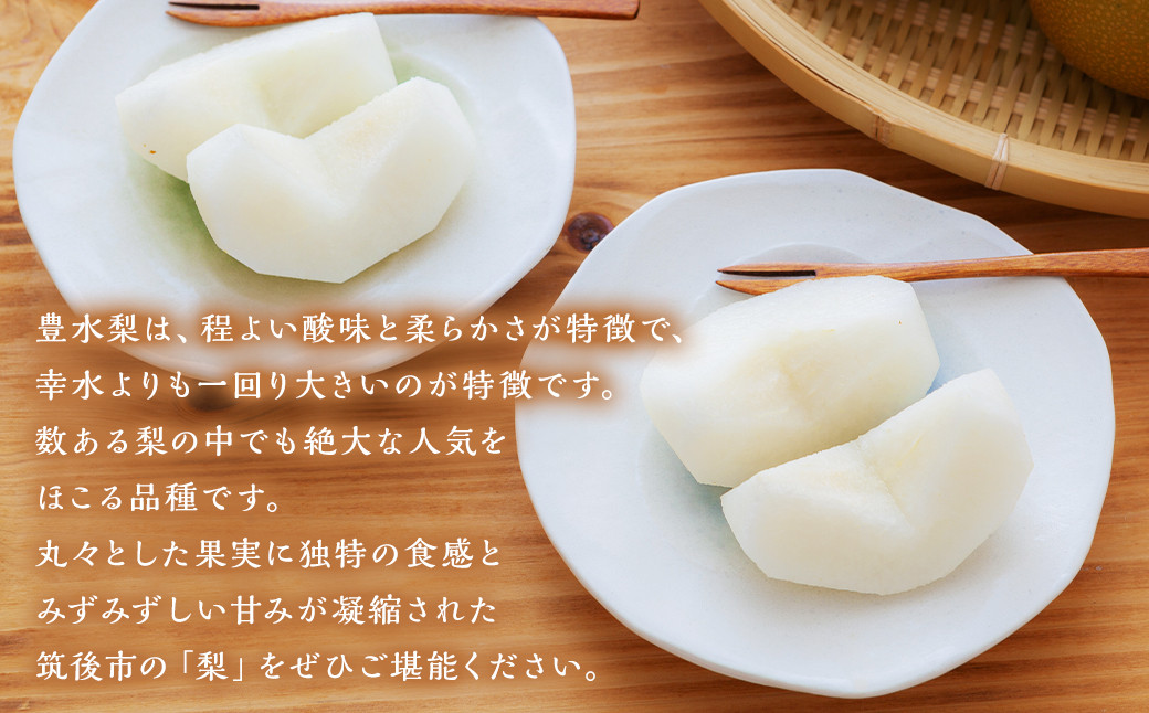  豊水梨 9～12玉 約5kg ナシ 梨 福岡県産