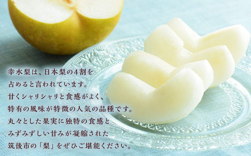 数量限定 幸水梨 9～12玉 なし 梨 福岡県産