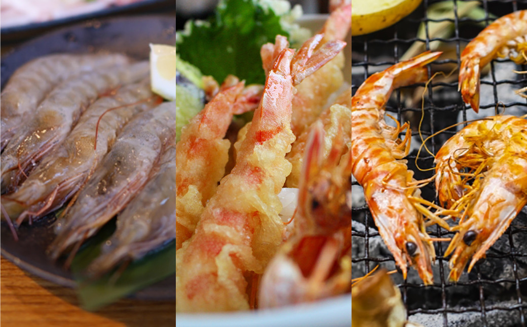 【指定日必須】活き車海老250g