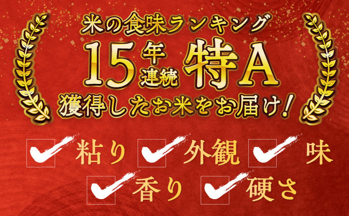 お米 米 ご飯 白米 白ご飯 ごはん コメ 定期便 お弁当 精米 精白米 さがびより