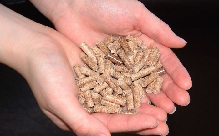 CO2 CO2吸収 二酸化炭素 SDGs ゼロカーボン 足寄町 北海道