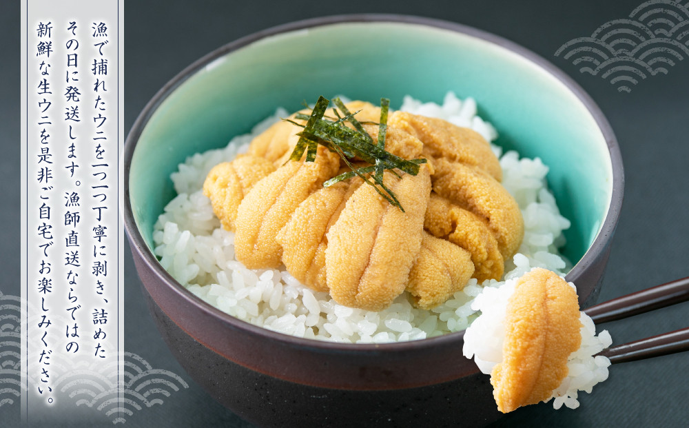 北海道小樽市 塩水キタムラサキウニ 100g×8パック 合計800g 【漁師直送】