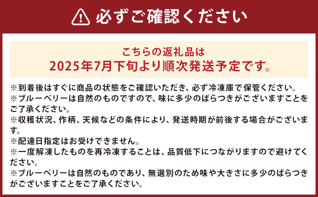 二戸産 冷凍 ブルーベリー 約2kg (無選別) フルーツ 果実