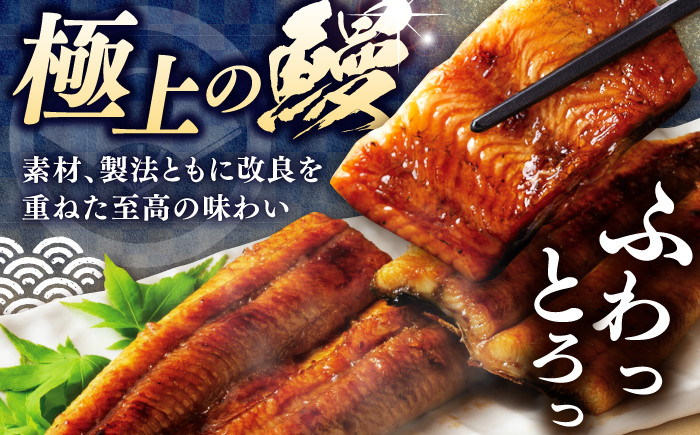 かつお 鰹 カツオ たたき うなぎ 鰻 ウナギ 高知 本場 