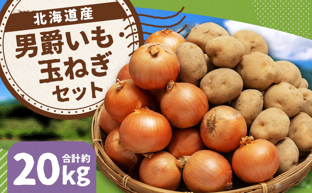 じゃがいも 男爵 Lサイズ 約10kg×1箱・玉ねぎ L大サイズ 約10kg×1箱 （JA） 計約20kg
