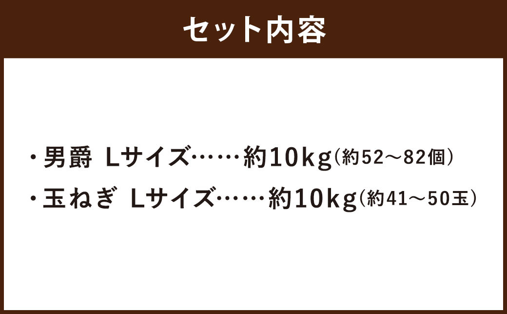 じゃがいも 男爵 Lサイズ 約10kg×1箱・玉ねぎ L大サイズ 約10kg×1箱 （JA） 計約20kg