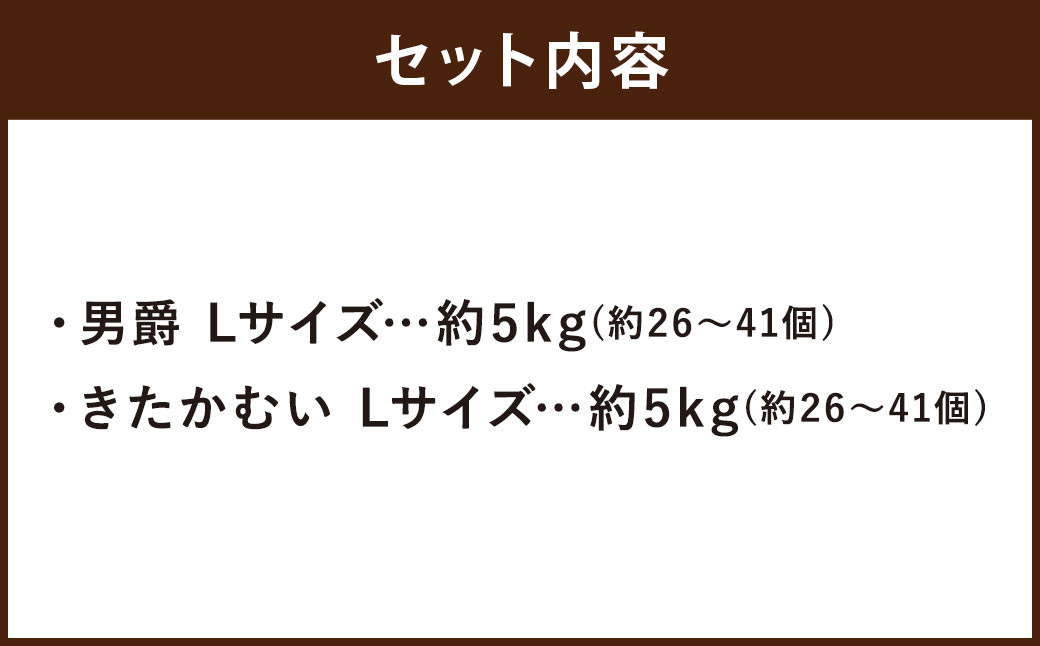 じゃがいも 男爵 きたかむい Lサイズ 各約5kg×1箱 計約10kg (JA)