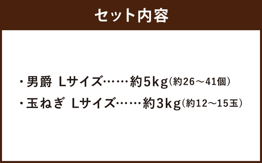 じゃがいも 男爵 Lサイズ 約5kg×1箱・玉ねぎ Lサイズ 約3kg×1箱 （JA） 計約8kg