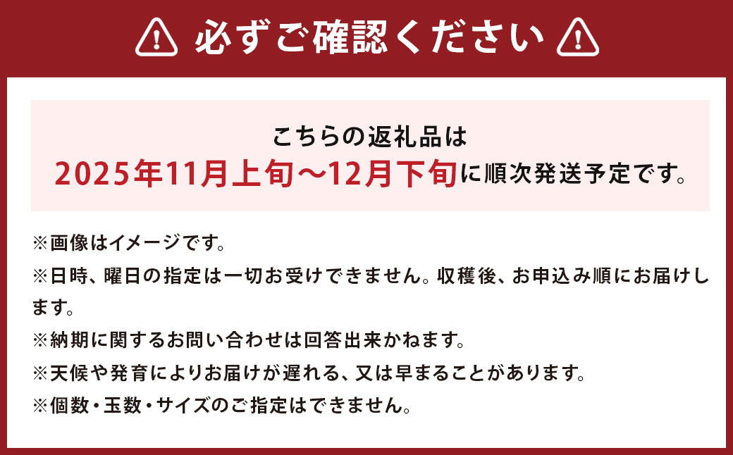 じゃがいも 男爵 Lサイズ 約5kg×1箱・玉ねぎ Lサイズ 約3kg×1箱 （JA） 計約8kg