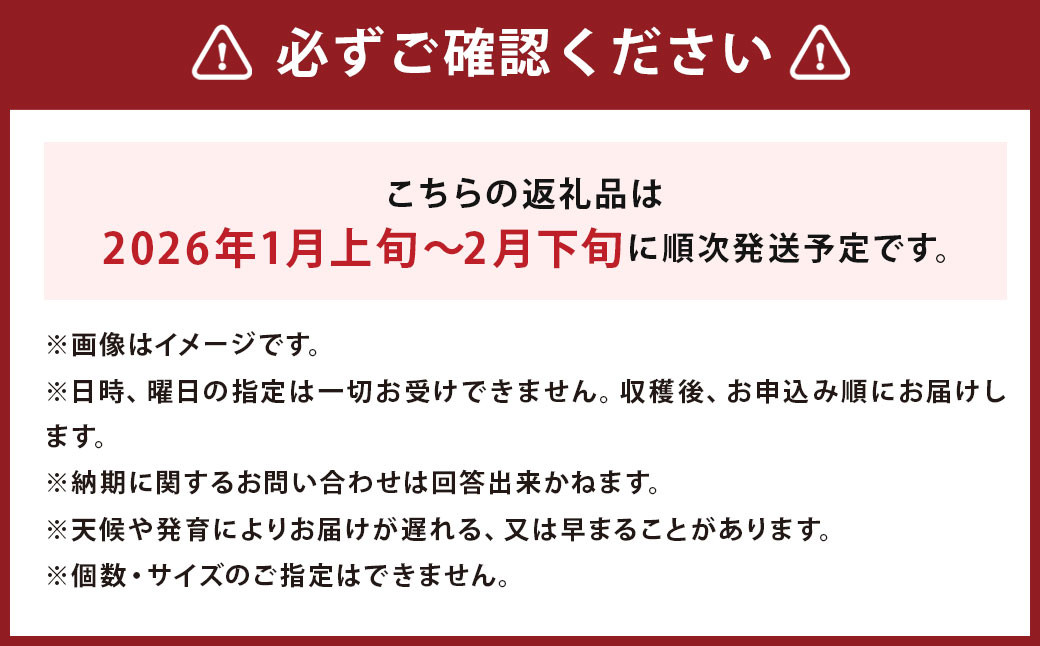 じゃがいも 男爵 きたかむい Lサイズ 各約5kg×1箱 計約10kg (JA)