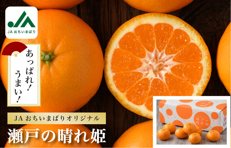 12月　瀬戸の晴れ姫