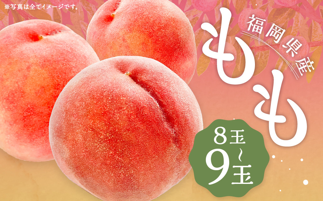  桃 8玉～9玉 福岡県産 産地直送 フルーツ 果物