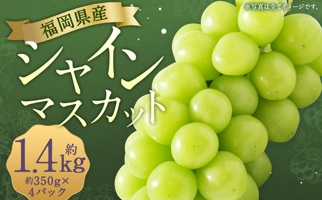 先行予約 シャインマスカット 1.4kg