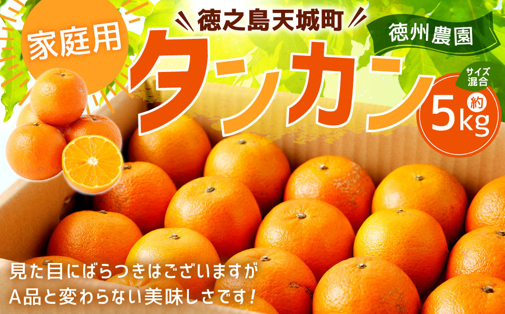 徳之島 天城町 徳州農園 家庭用 タンカン 5kg