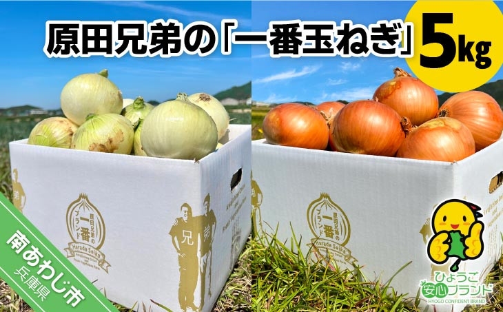 原田兄弟の一番玉ねぎ　５kg