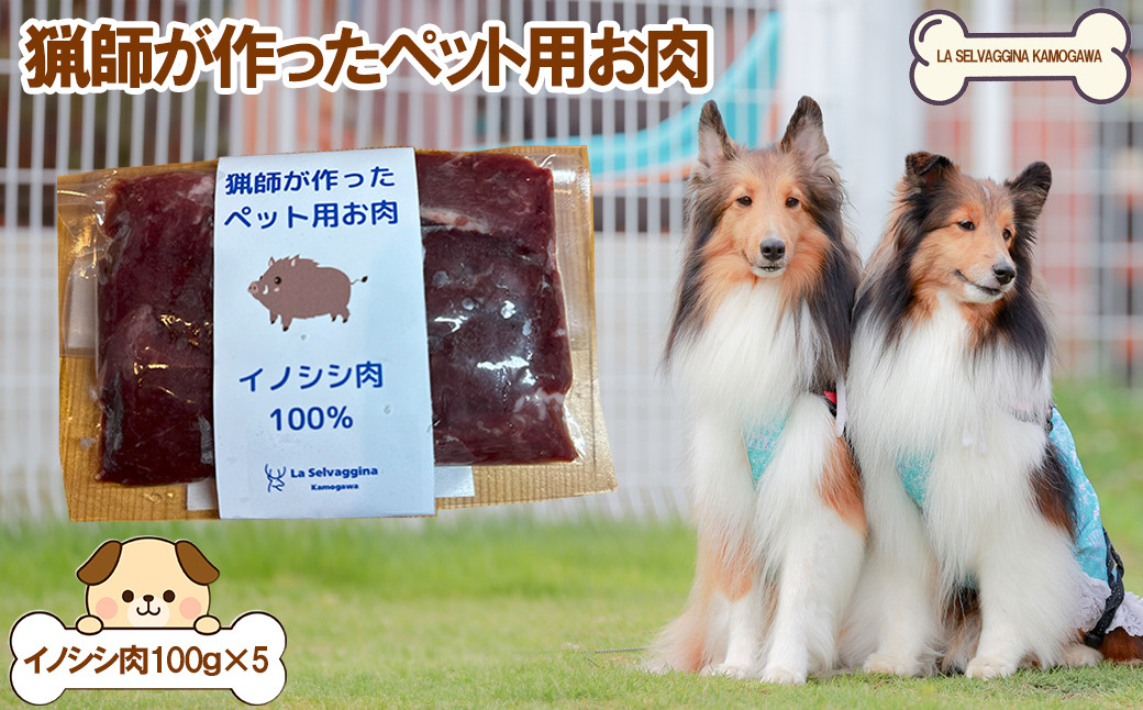 ペットのための特別な栄養、自然からの贈り物