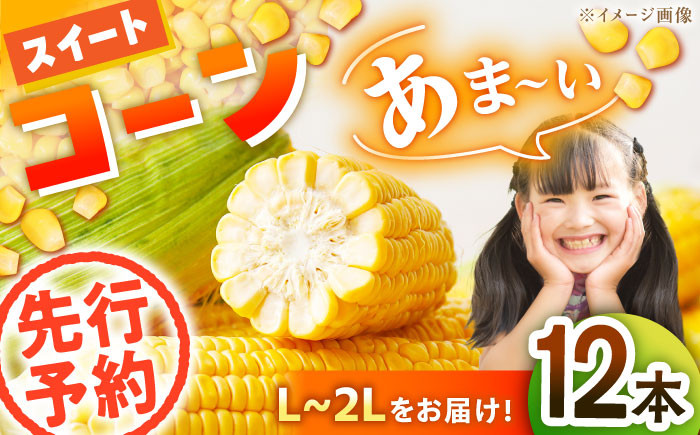 コーン トウモロコシ とうきび チーズ  パスタ おうちごはん バター 子供 とうもろこしご飯 料理 新鮮 野菜 産地直送