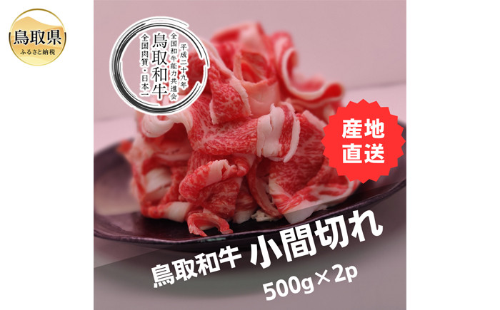 B25-001 鳥取和牛小間切れ　冷凍500g×2