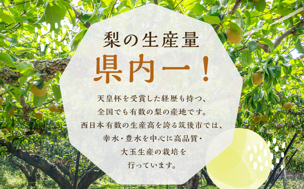 数量限定 よらん野 特選梨とぶどうセット(品種おまかせ)